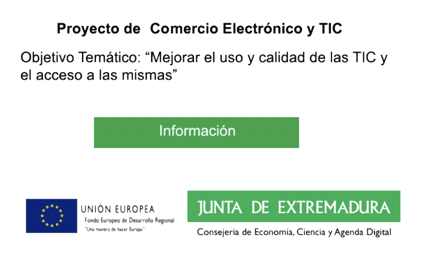 subvención comercio electrónico y tic